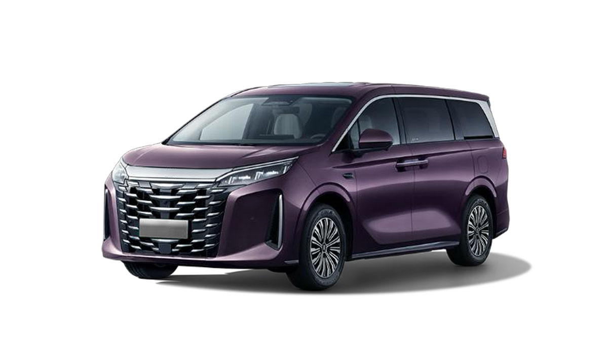BYD M9