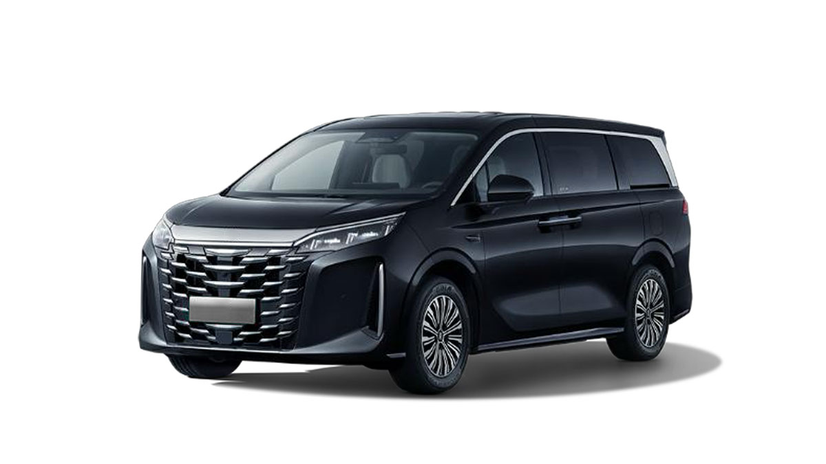 BYD M9