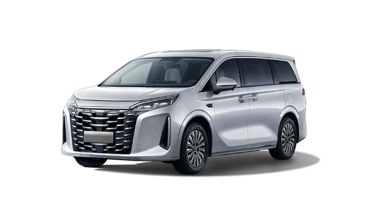 BYD M9